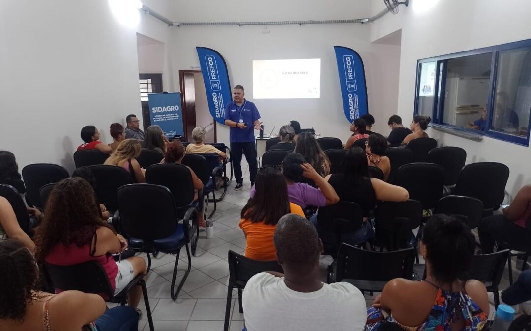 Aprenda a liderar e delegar para atingir o crescimento profissional que tanto deseja