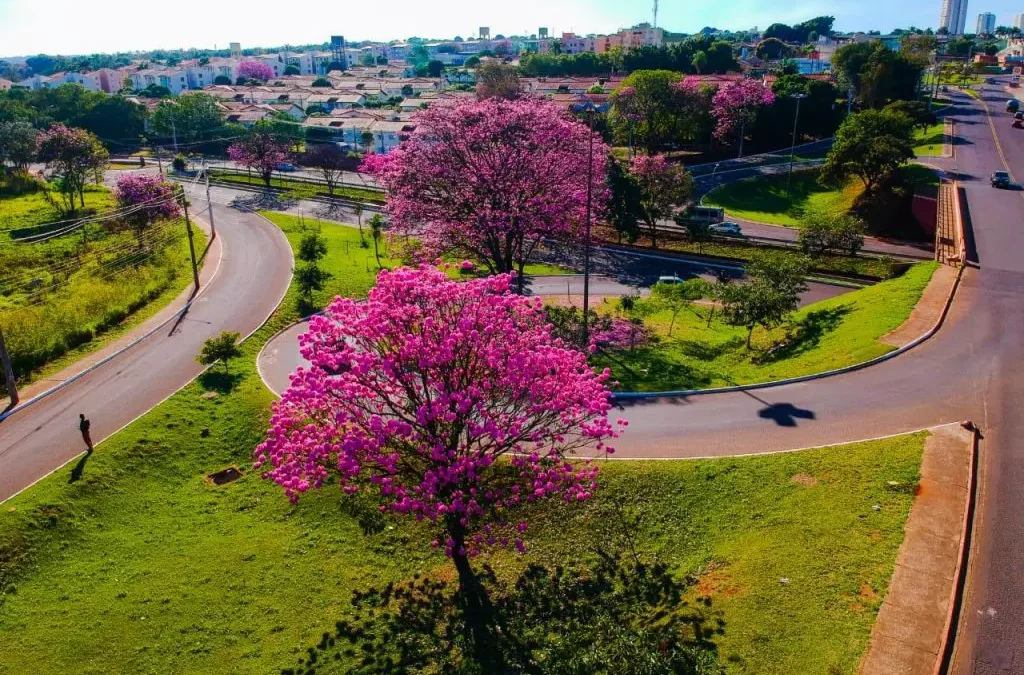 Yané, Campo Grande aos 126 anos – Por Bosco Martins