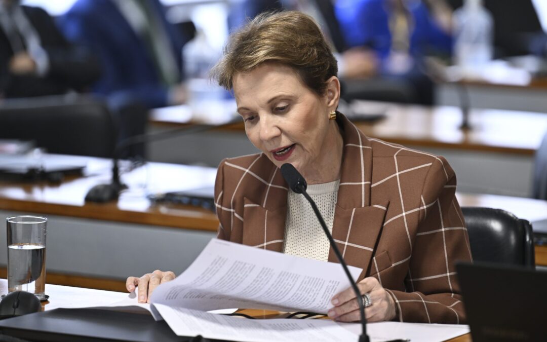 Aprovado relatório de Tereza Cristina que regulariza terras em faixa de fronteira