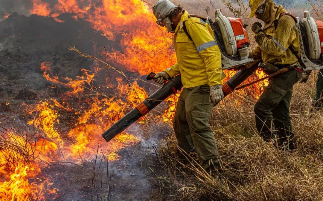 Pré-COP: Brasil propõe resposta global a incêndios florestais
