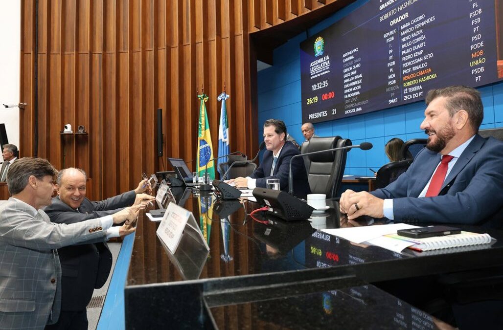 Ordem do Dia: Cadastro de Condenados por Violência Doméstica vai à sanção