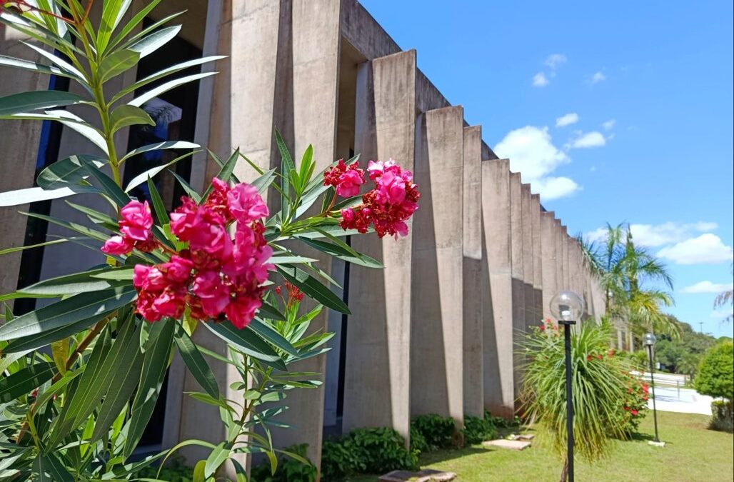 Agenda: Prestação de contas e reunião para valorização do SUAS estão previstas