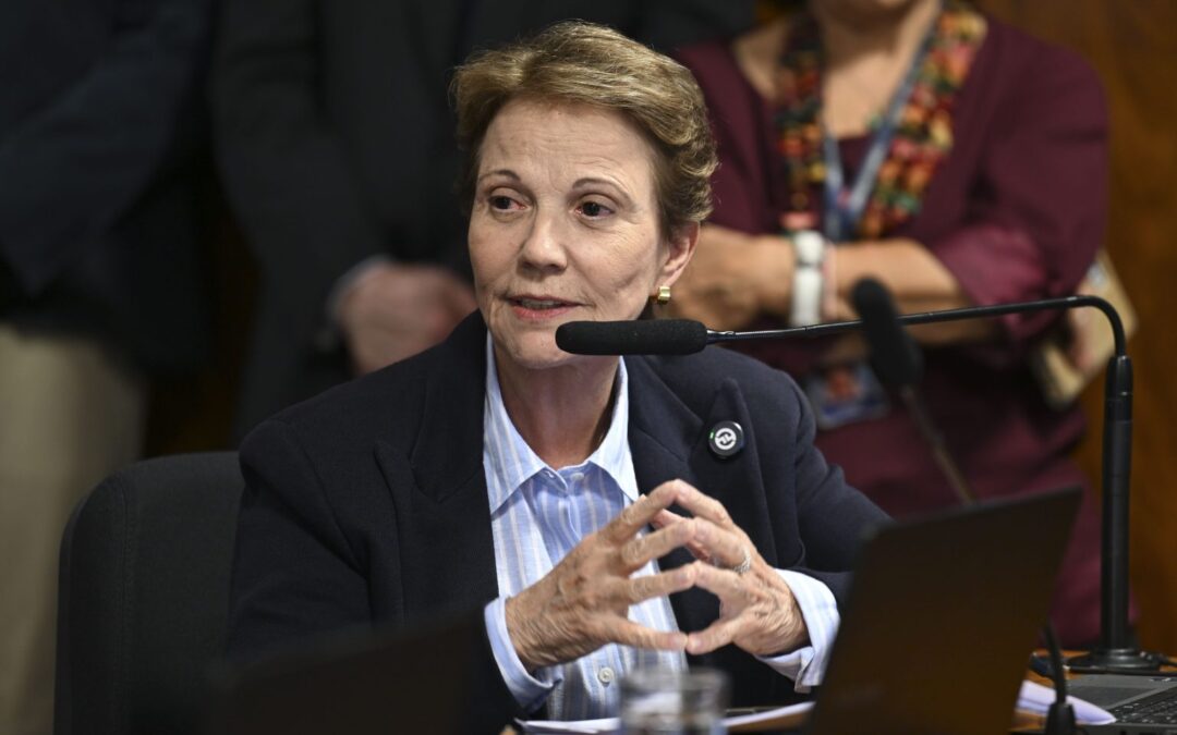 Votação de relatório sobre acordo Mercosul–União Europeia é adiada por duas semanas