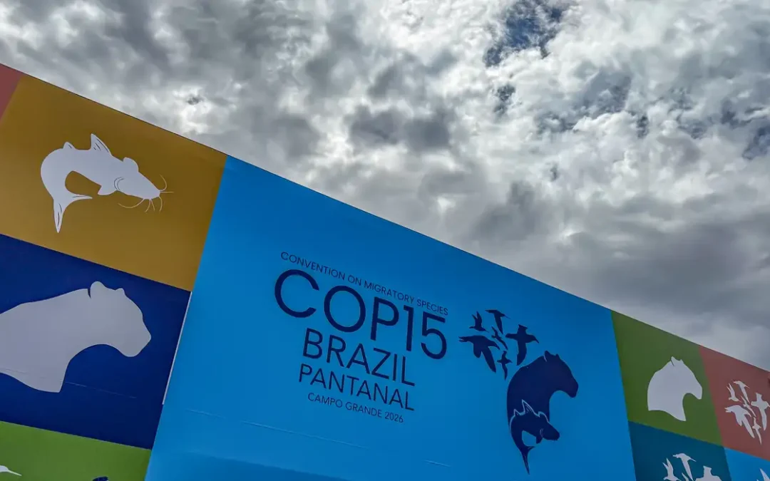 Cúpula de líderes orienta debates para COP15 em Campo Grande