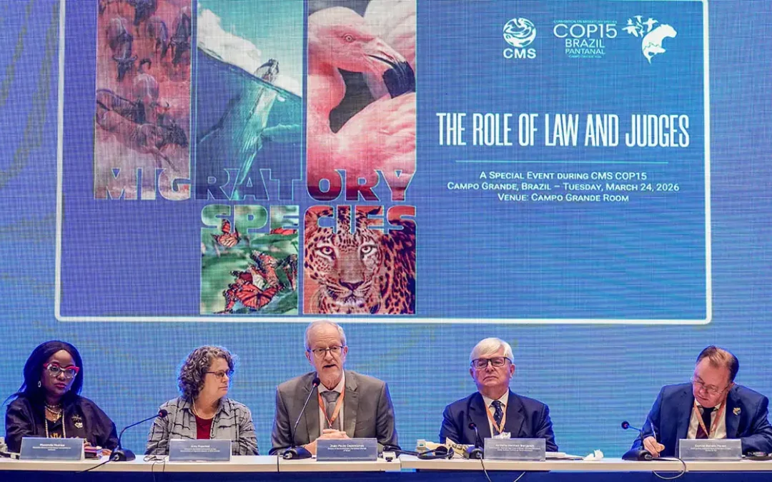 Bonito vai sediar a primeira vara ambiental com foco no Pantanal