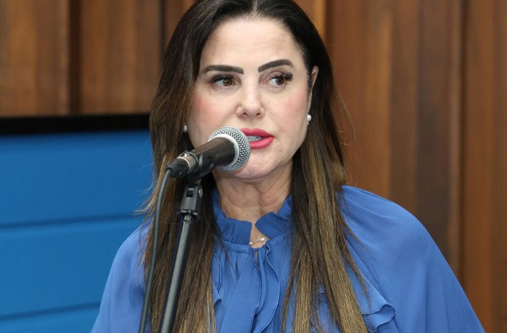 Lei: MS terá Semana de Combate à Exposição Precoce de Crianças nas redes sociais