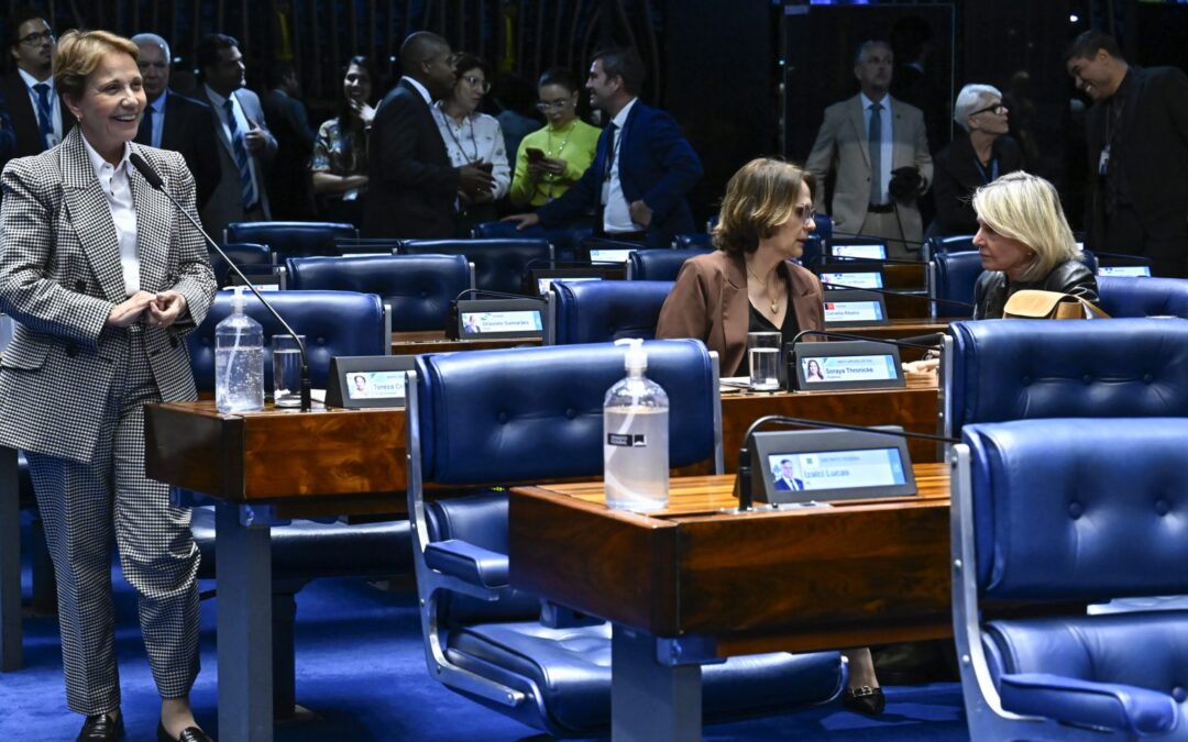 Senado aprova guarda compartilhada de animais de estimação