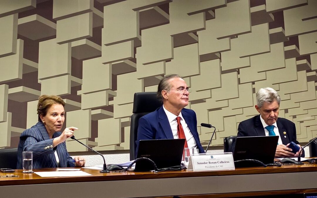 Tereza Cristina busca com a Fazenda rápida renegociação das dívidas rurais