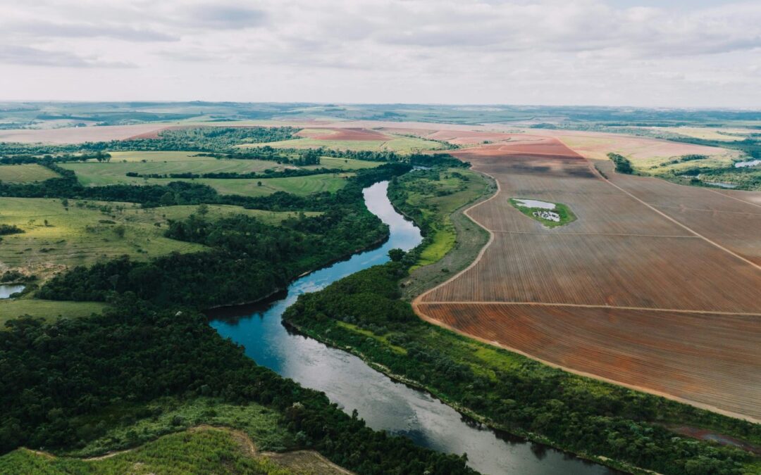 Serviços ambientais em propriedade rural poderão ter desconto no IR